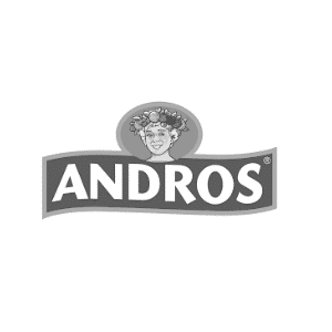 Logo Androis